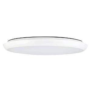 LED OYSTER DISC 25W CTC 300MM O/D WHITE